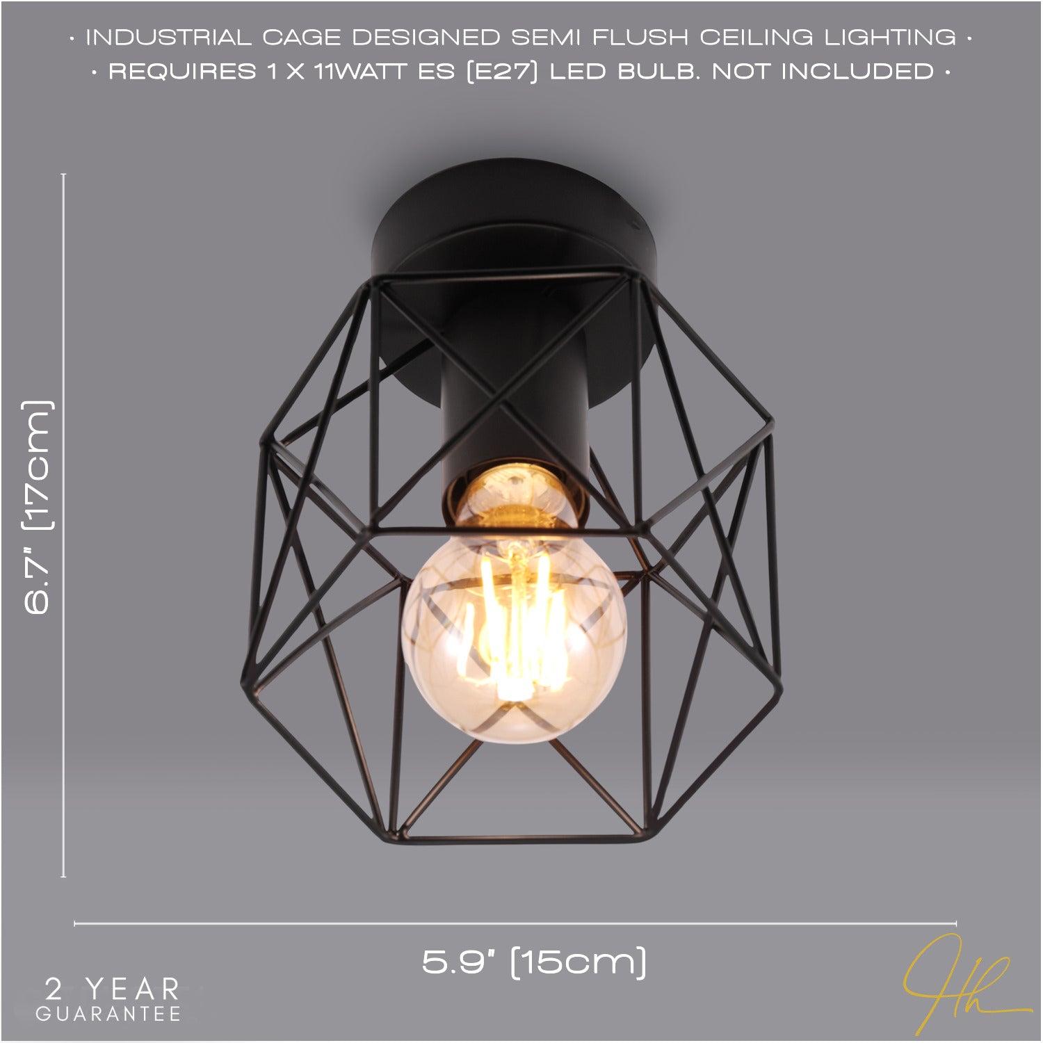 Vintage Industrial Matte Black Ceiling Lighting Fitting with Wire Cage Design Image 5