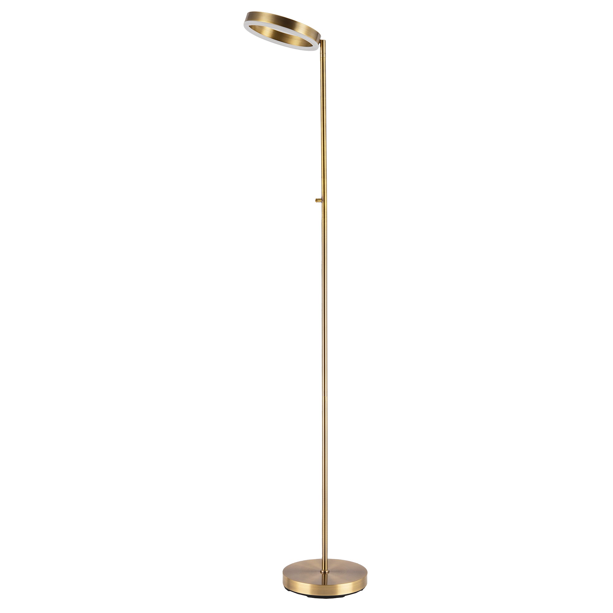 Modern LED Halo Ring Floor Lamp in Antique Brass with CCT Dimmer Image 2