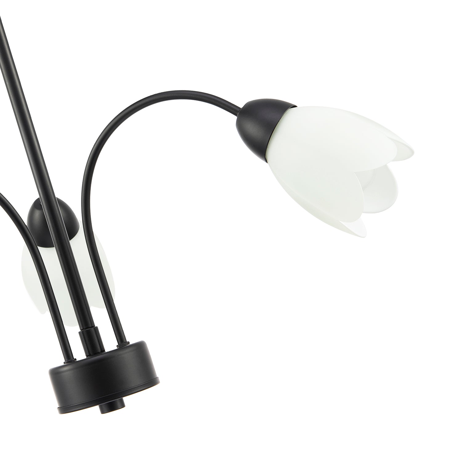 Contemporary Ceiling Lamp Fitting in Matte Black with Opal Petal Glass Shades Image 4