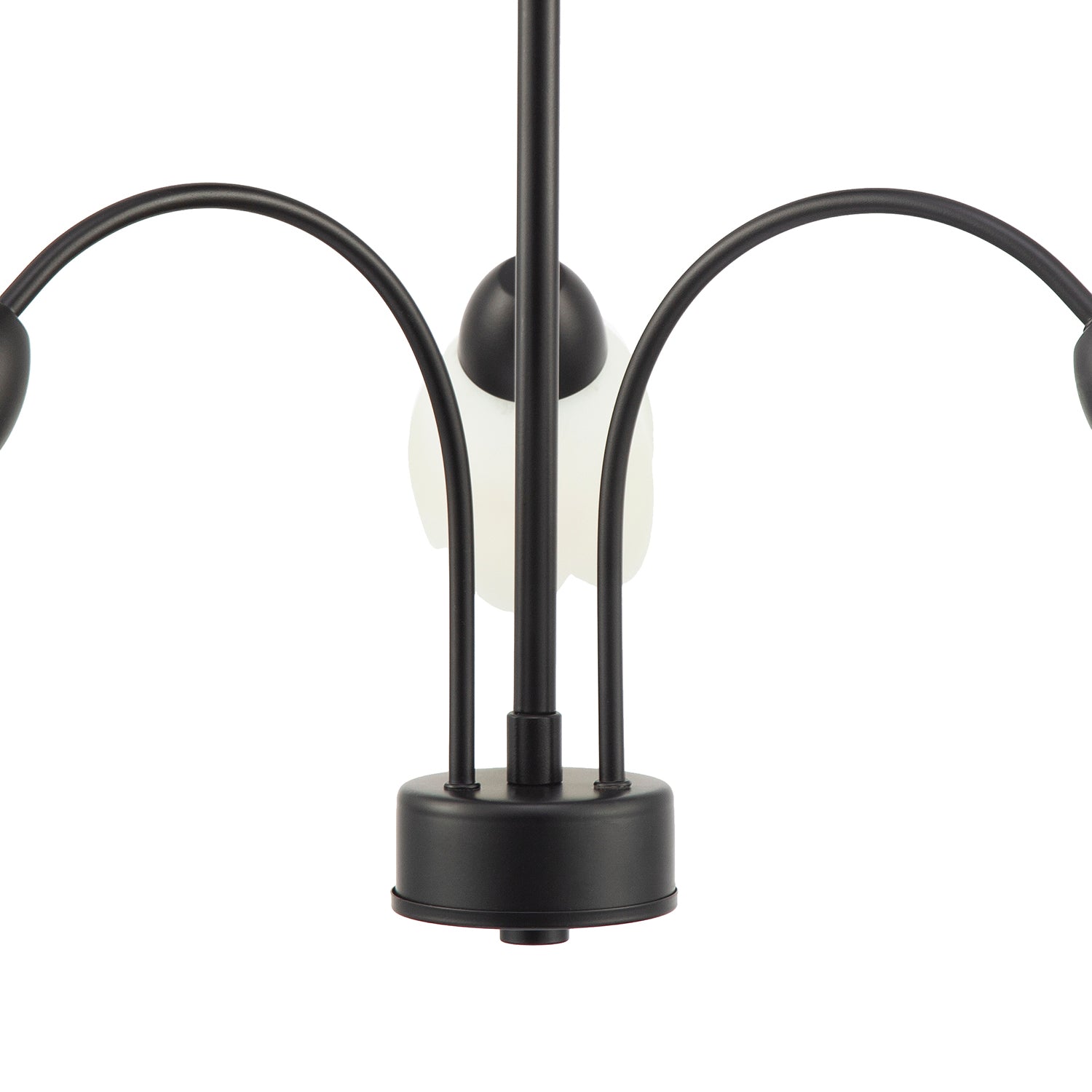 Contemporary Ceiling Lamp Fitting in Matte Black with Opal Petal Glass Shades Image 5