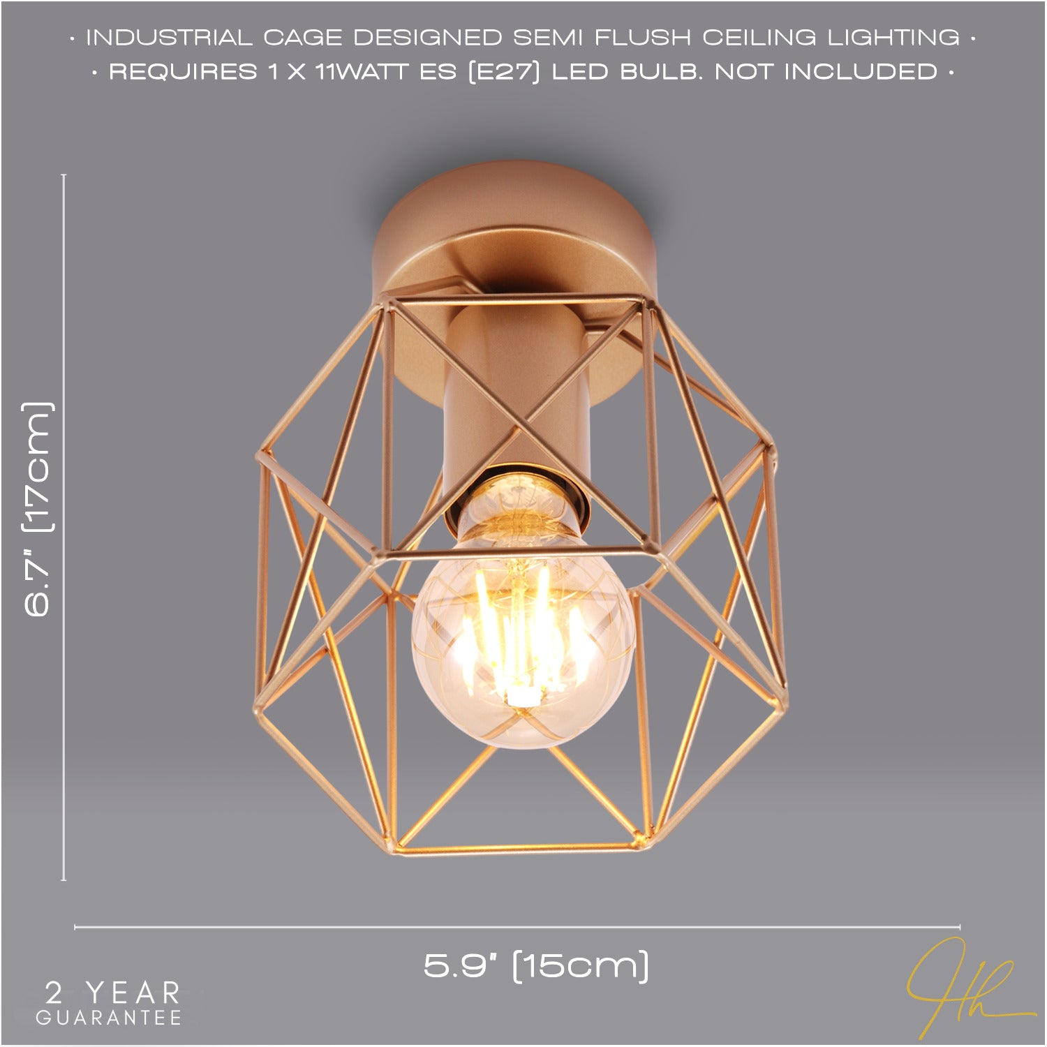 Vintage Industrial Satin Gold Ceiling Lighting Fitting with Wire Cage Design Image 6