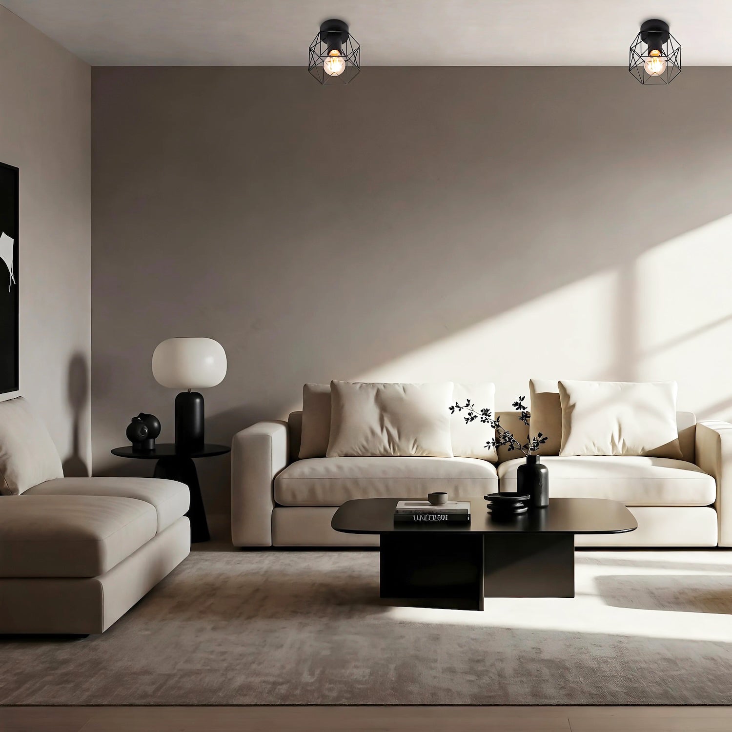 Vintage Industrial Matte Black Ceiling Lighting Fitting with Wire Cage Design Image 6