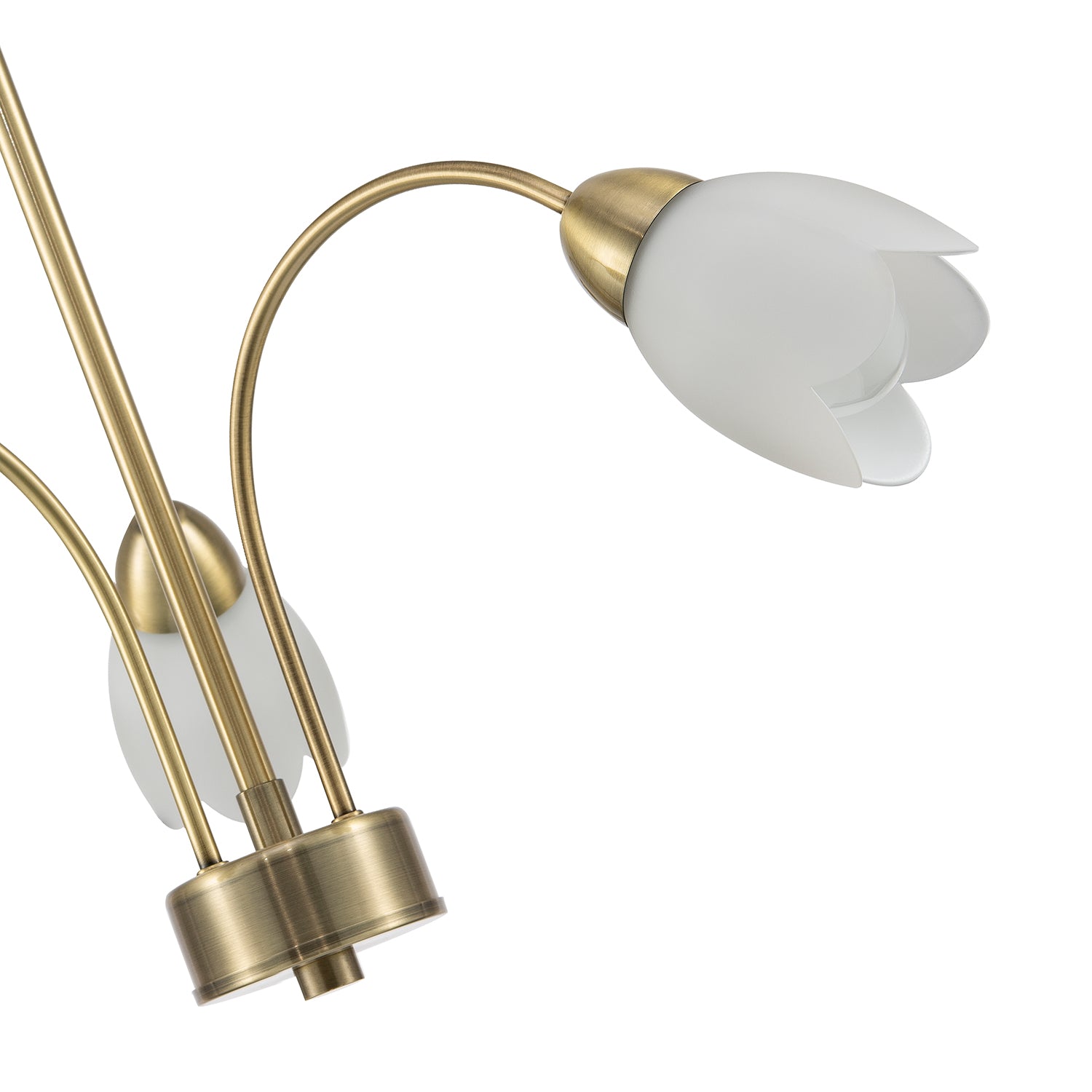 Contemporary Ceiling Lamp Fitting in Antique Brass with Opal Petal Glass Shades Image 4
