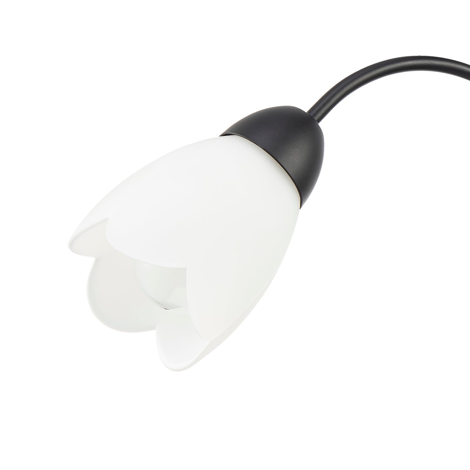Contemporary Ceiling Lamp Fitting in Matte Black with Opal Petal Glass Shades Image 3