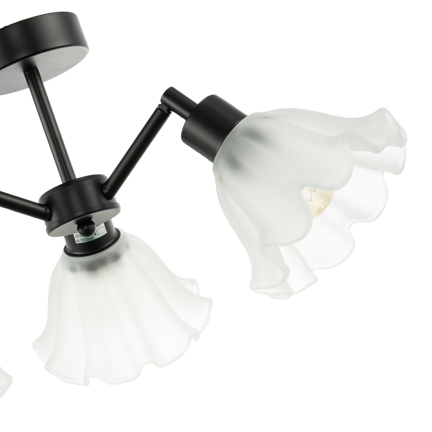Traditional Black Ceiling Light with Frosted Scallop Glass Shades Image 5