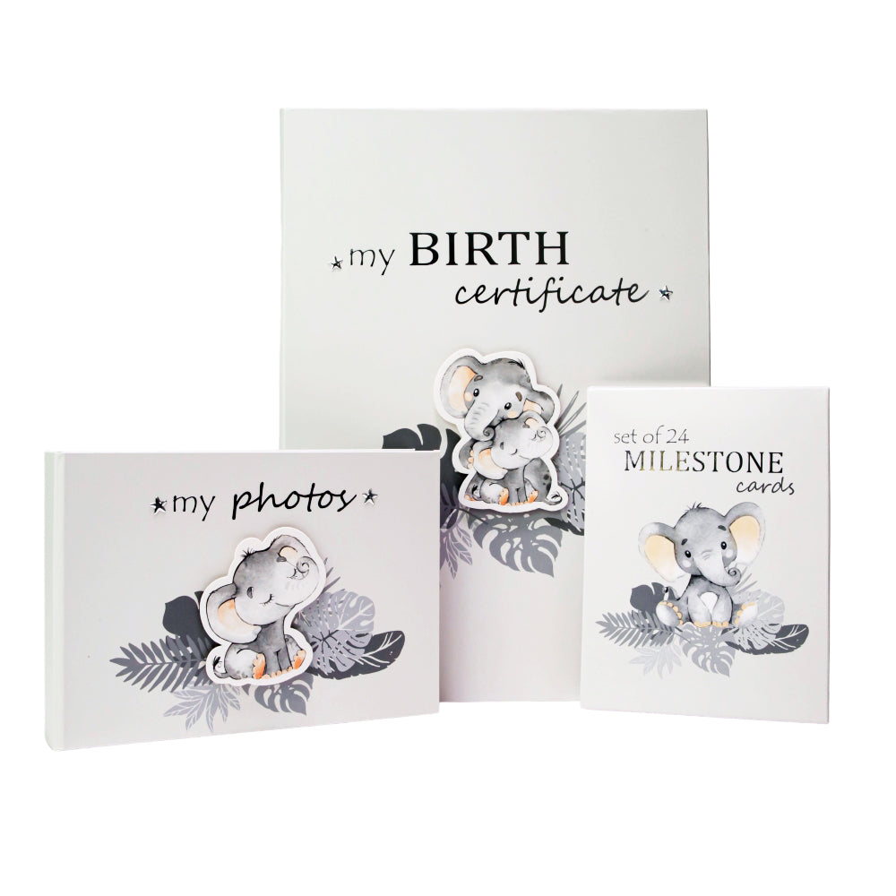 Cute Unisex Baby Elephant Grey Quirky and Fun Set of 24 Milestone Cards Image 6