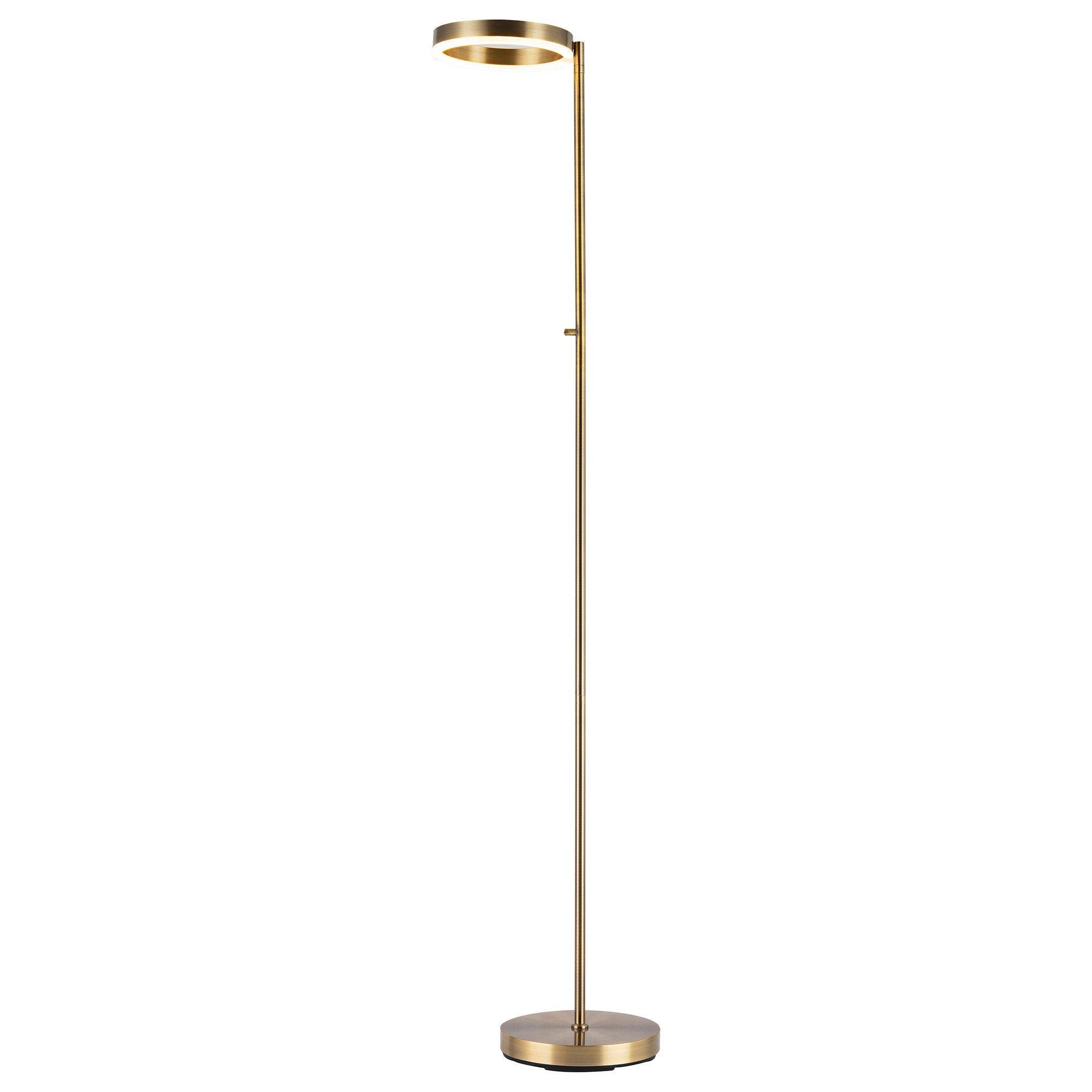 Modern LED Halo Ring Floor Lamp in Antique Brass with CCT Dimmer Image 3