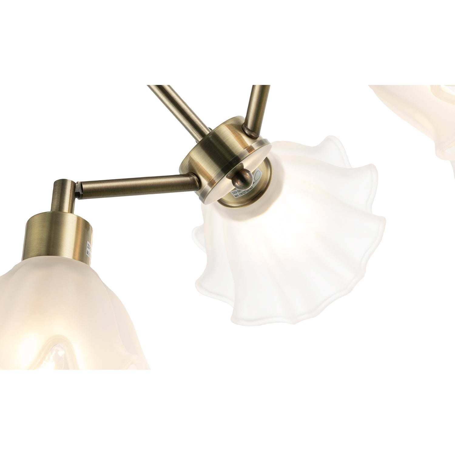 Traditional Ceiling Light Fitting with Frosted Scallop Glass Shades Image 4