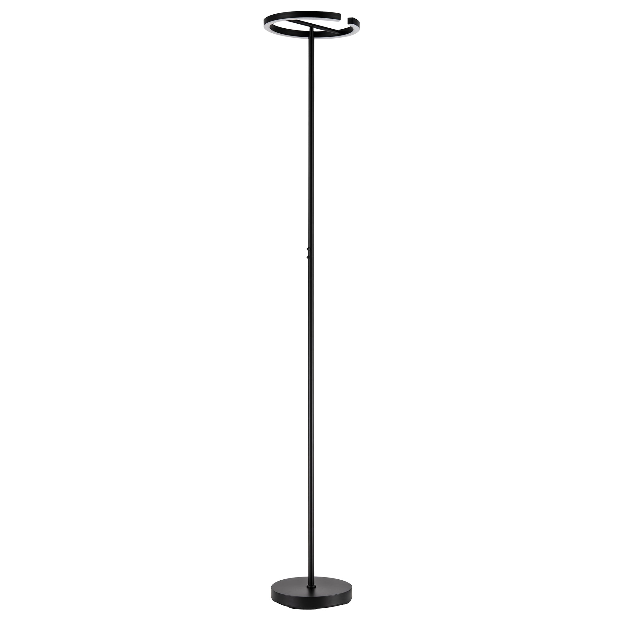 RGB and CCT Modern LED Halo Ring Black Floor Lamp with Remote Control Image 1