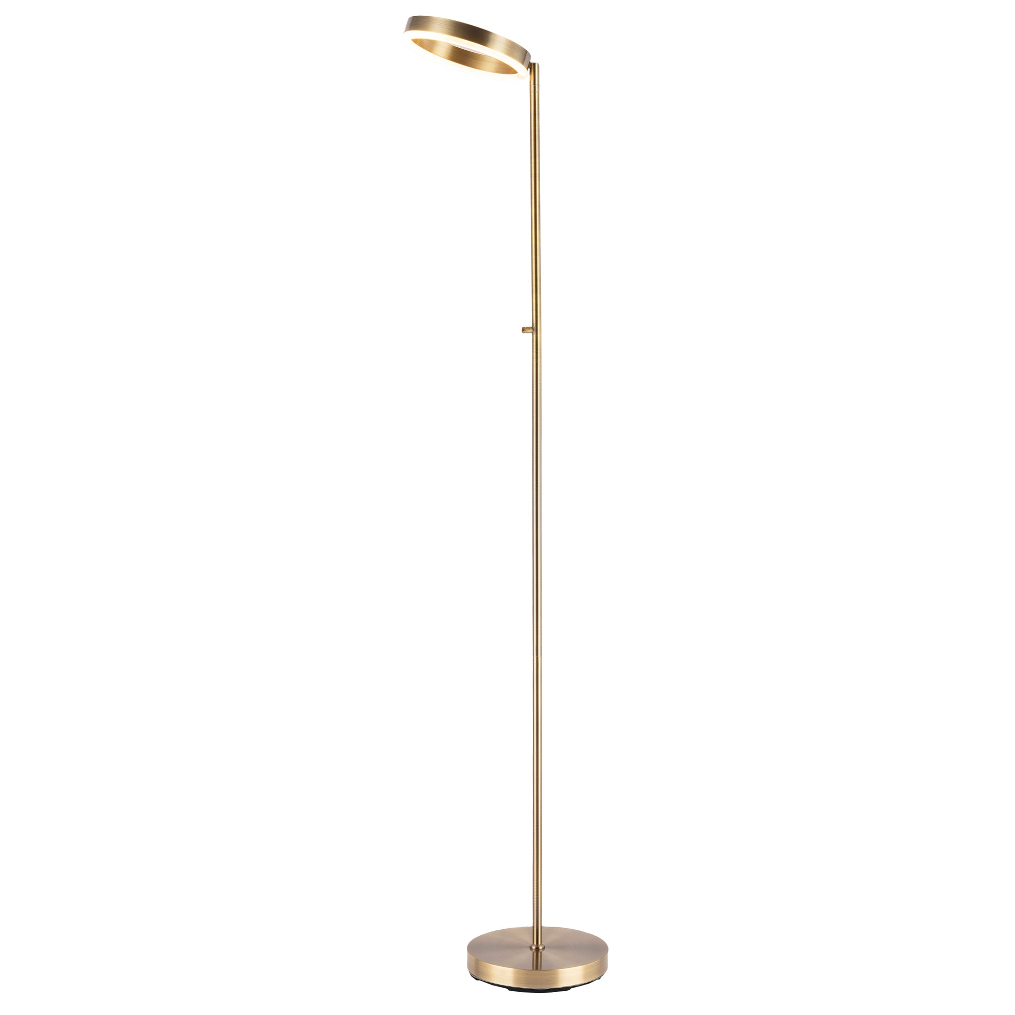 Modern LED Halo Ring Floor Lamp in Antique Brass with CCT Dimmer Image 1