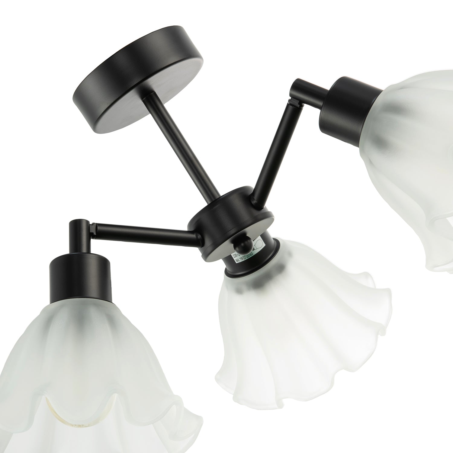 Traditional Black Ceiling Light with Frosted Scallop Glass Shades Image 4