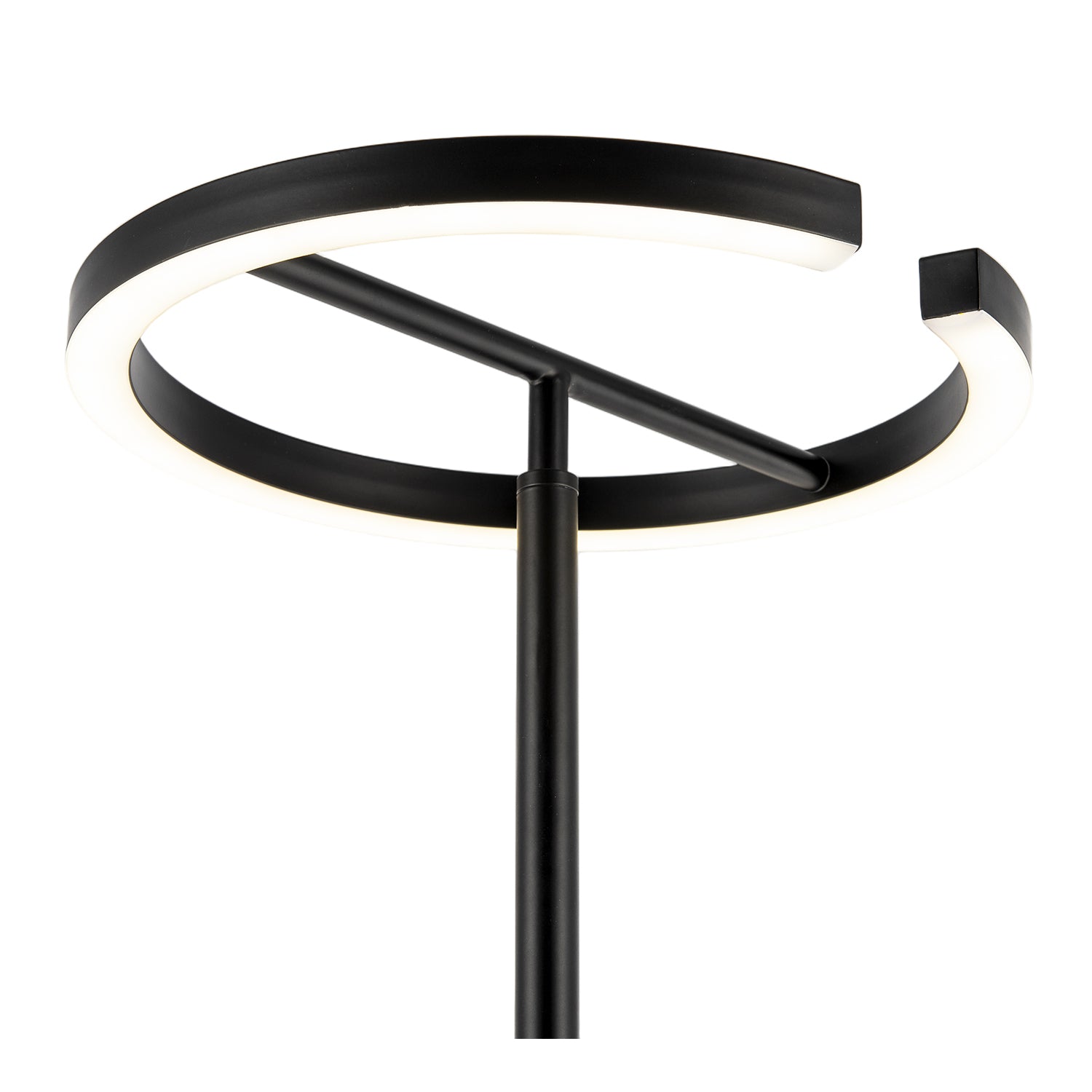 RGB and CCT Modern LED Halo Ring Black Floor Lamp with Remote Control Image 3