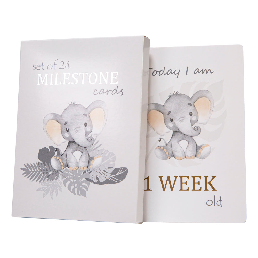 Cute Unisex Baby Elephant Grey Quirky and Fun Set of 24 Milestone Cards Image 1