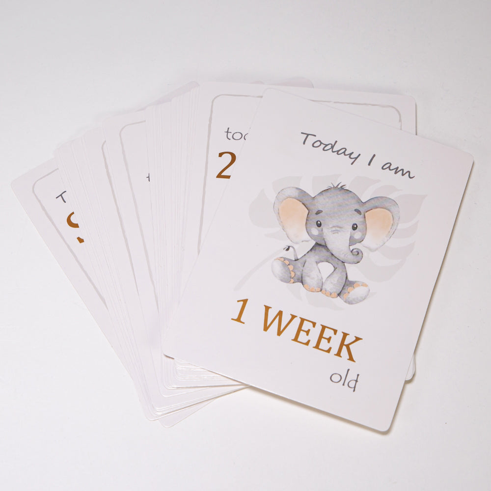 Cute Unisex Baby Elephant Grey Quirky and Fun Set of 24 Milestone Cards Image 4