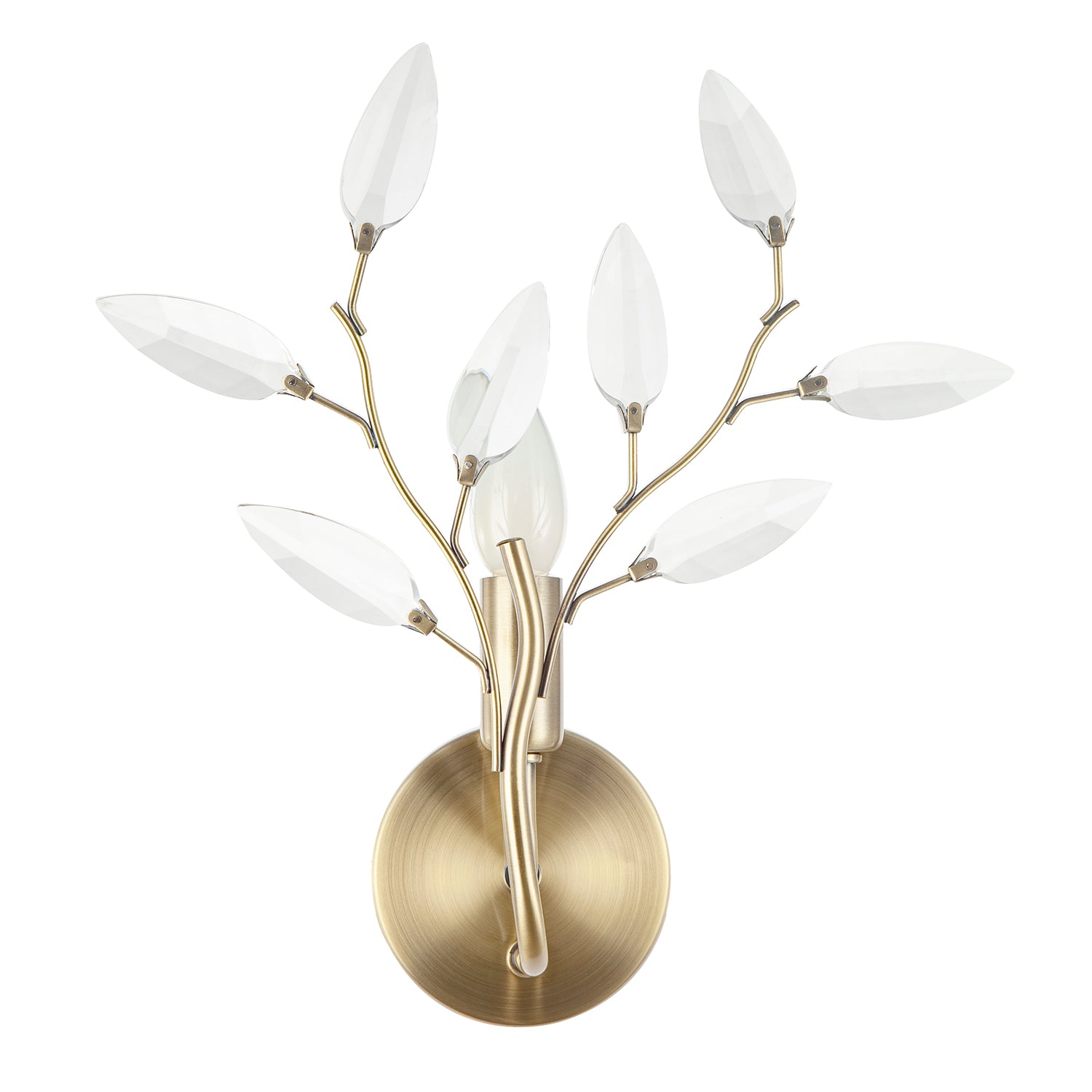 Modern Birch Antique Brass Plated Wall Light Fixture with Clear Acrylic Leaves Image 4