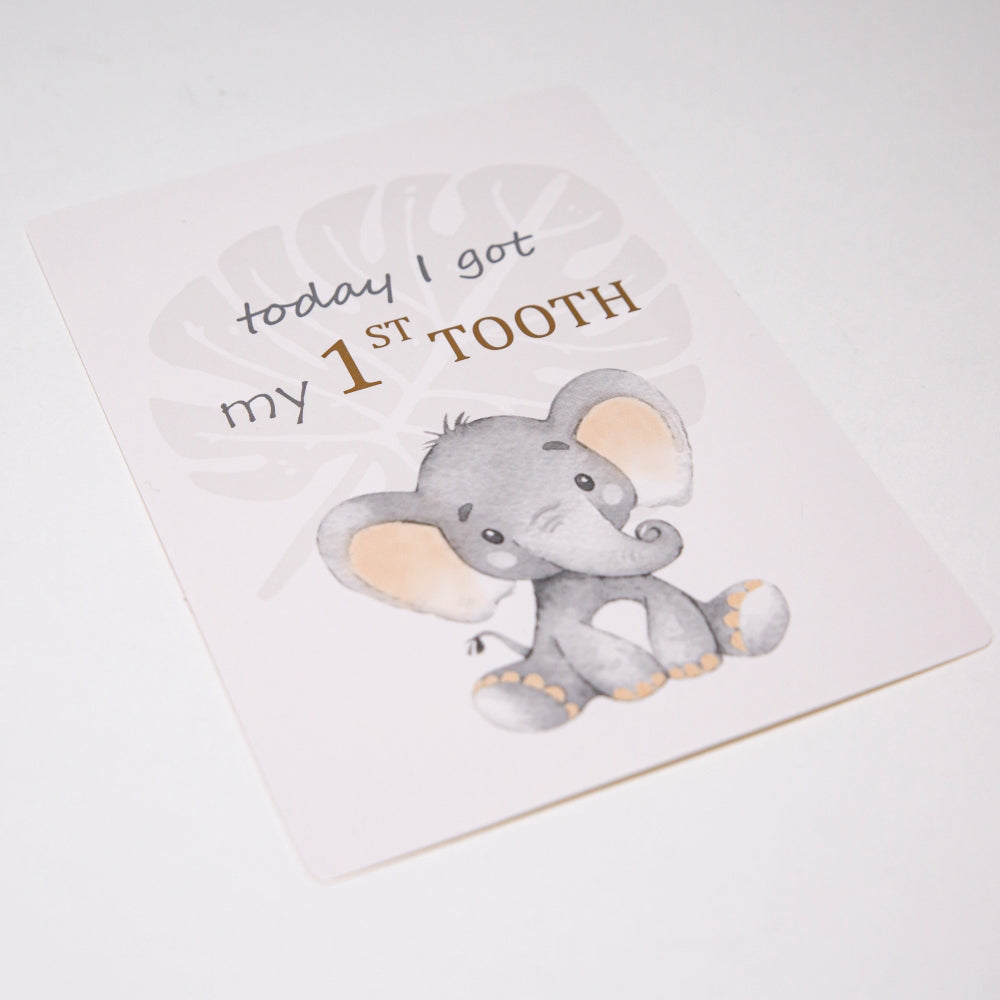 Cute Unisex Baby Elephant Grey Quirky and Fun Set of 24 Milestone Cards Image 3