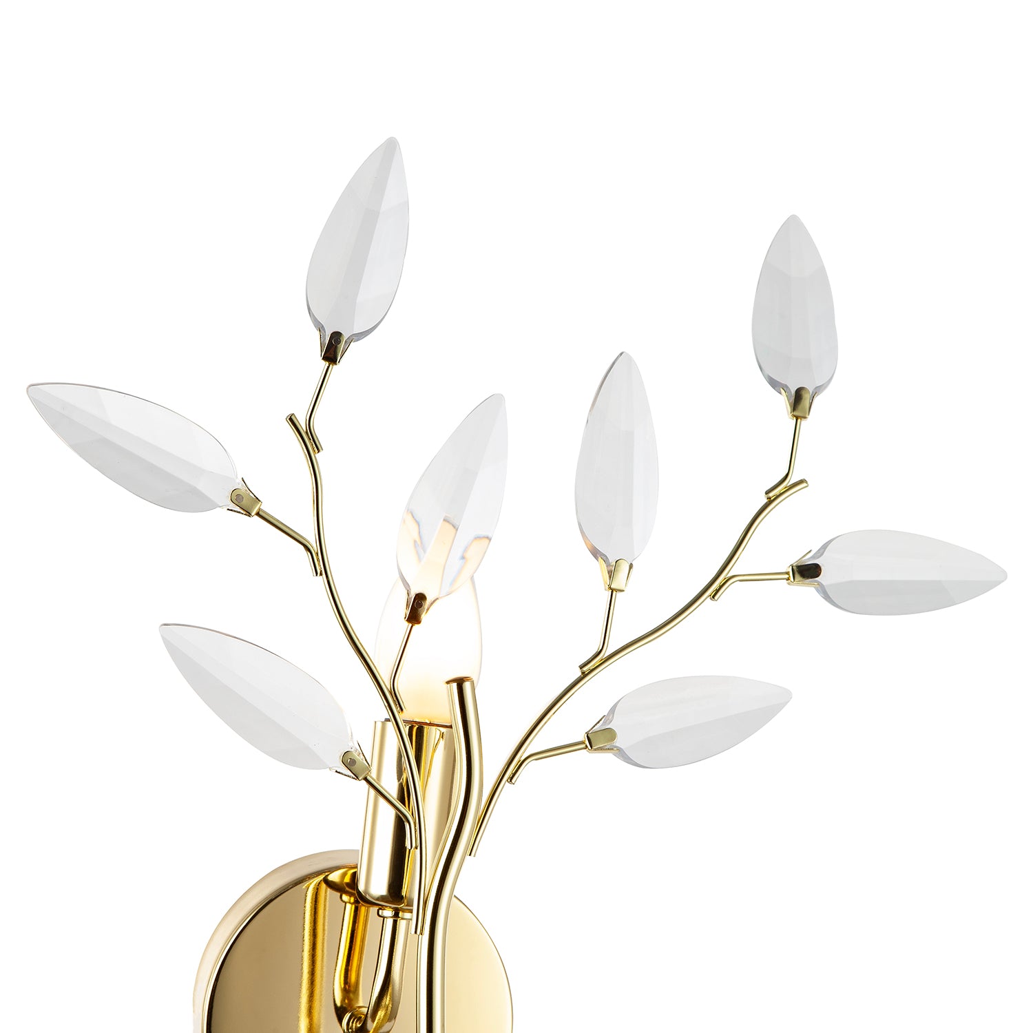 Modern Birch Polished Brass Plated Wall Light Fixture with Clear Acrylic Leaves Image 5