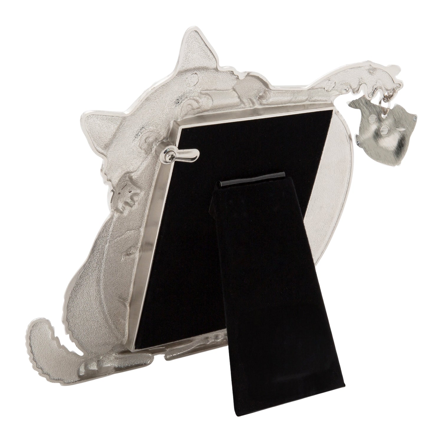 Quirky Hiding Cat Themed Nickel Plated Picture Frame with Hanging Fish Image 6