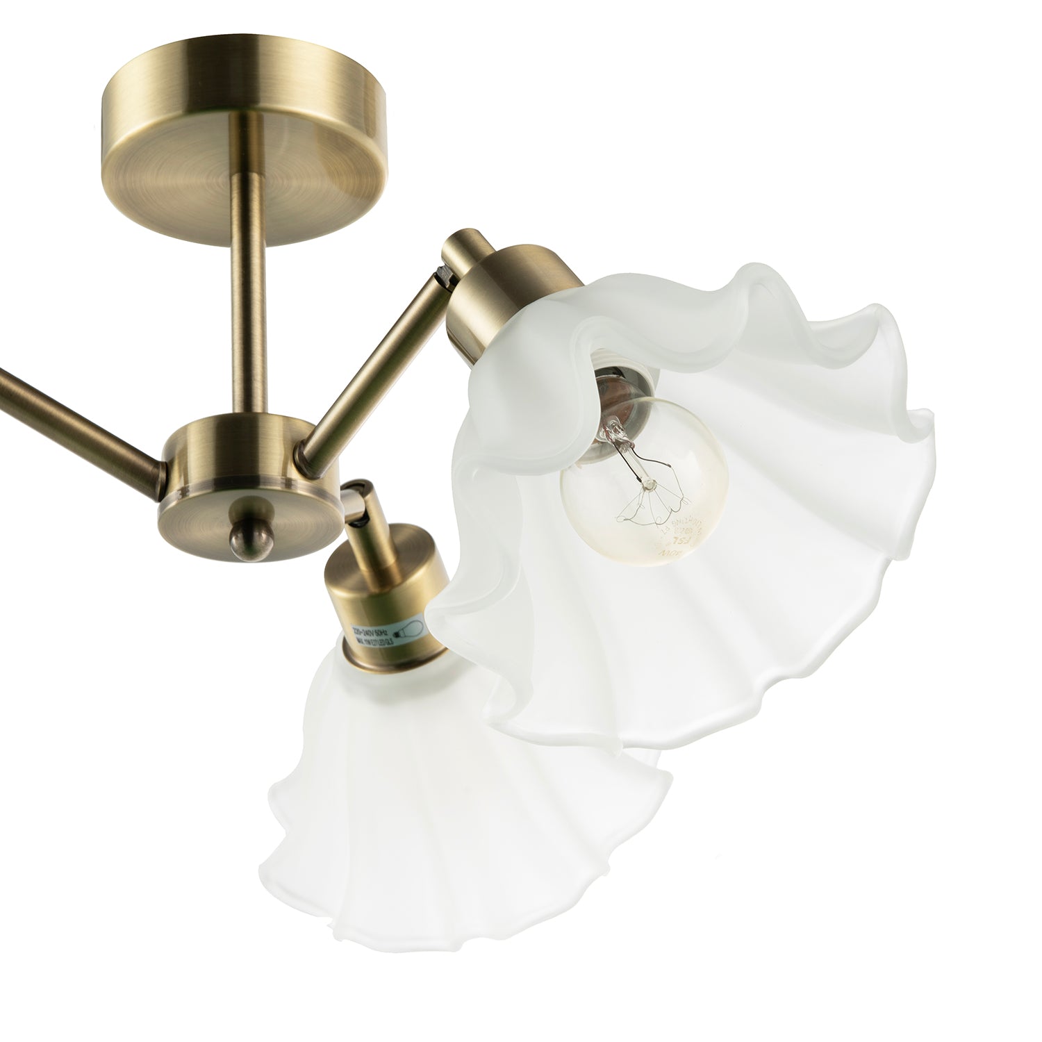 Traditional Ceiling Light Fitting with Frosted Scallop Glass Shades Image 5