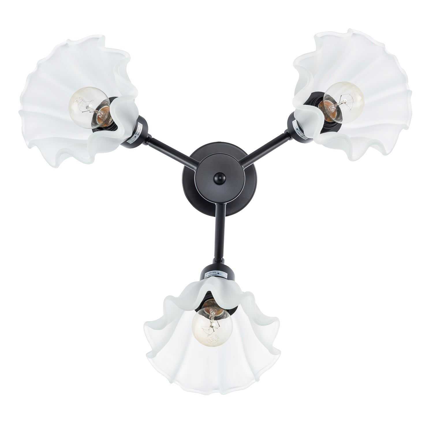 Traditional Black Ceiling Light with Frosted Scallop Glass Shades Image 3